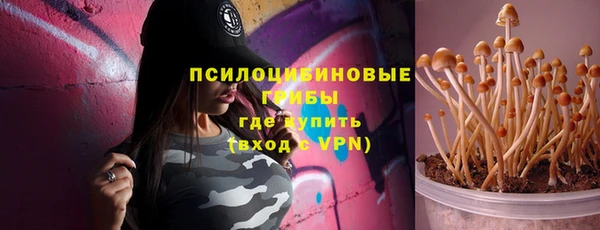 ALPHA PVP Каменск-Шахтинский