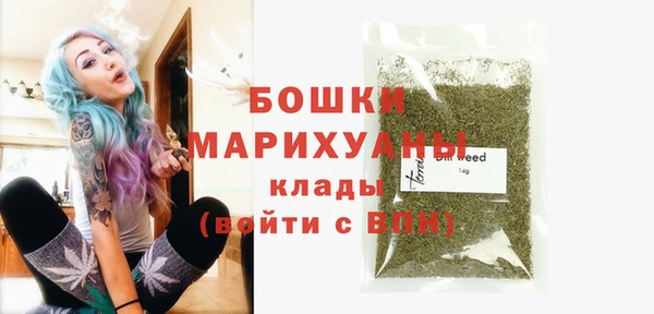 Альфа ПВП Каменка