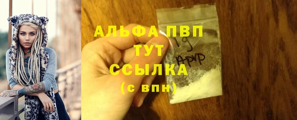 стафф Касимов