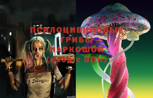 винт Карпинск