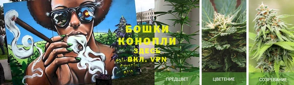 Альфа ПВП Каменка