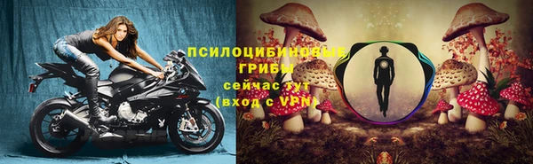 ALPHA PVP Каменск-Шахтинский