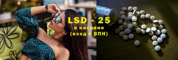 стафф Касимов