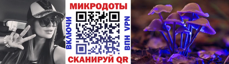Купить закладки  Городовиковск  Псилоцибиновые грибы Psilocybine cubensis 